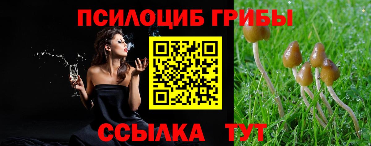 Галлюциногенные грибы мухоморы  Вход с VPN  Галлюциногенные грибы прущие грибы  Верхняя Пышма 